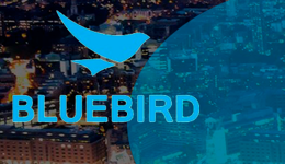 О компании Bluebird